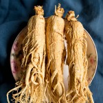 Red Ginseng Root Supplier - Whole Slice Custom
