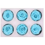 Dendrobium Powder Manufacturer - Granule Strip