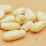 Dried Plum Powder Supplier - Preserved Fruit