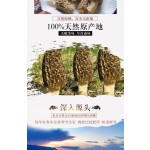 Cinnamon Root Piece Factory - Seasoning Whole