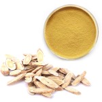 Danshen Root Extract Manufacturer - High Quality