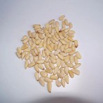 Dried Plum Powder Supplier - Preserved Fruit