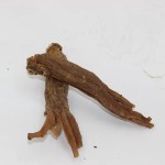 Korean Red Ginseng Factory - 6 Year Heaven