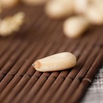 Pine Nut Kernels Factory - Price Competitive