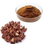 Angelica Powder Manufacturer - Various Packaging