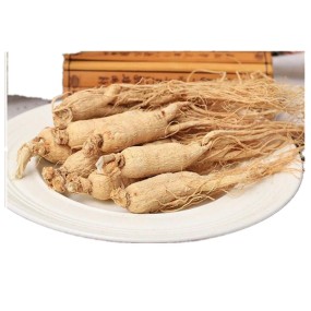 Changbai Mountain Ginseng Supplier - White Tail