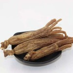 Ginseng Powder for Food Manufacturer - Capsule
