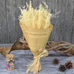 Dendrobium Powder Manufacturer - Granule Strip