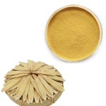 Astragalus Extract Powder Manufacturer - OEM