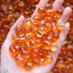 Macadamia Nuts Supplier - Kernel OEM Custom