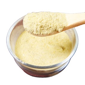 Dendrobium Officinale Supplier - Extract Custom