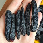 Pine Kernel Supplier - Shelled Nut OEM