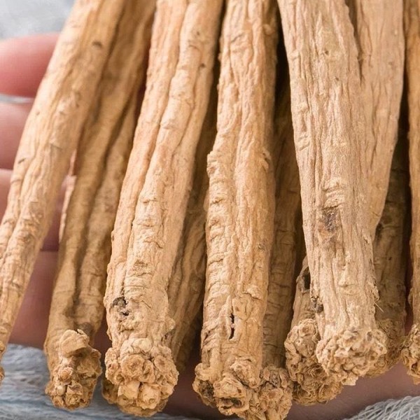 Organic Asiabell Root Supplier - Dried Herbal Tea