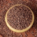 Pumpkin Powder Extract Factory - Halal Certified