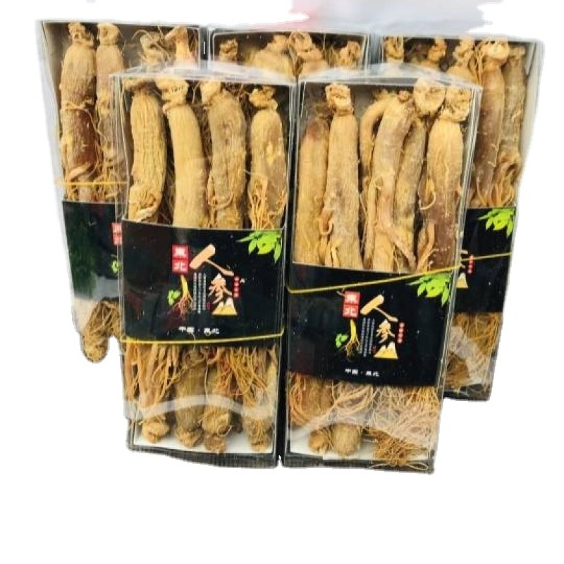 Ginseng Patch Factory - Asian Root Free Sample