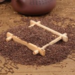 Pumpkin Powder Extract Factory - Halal Certified