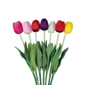 Dried Hibiscus Flowers Supplier - Nail Art Custom