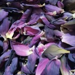 Lotus Flower Tea Factory - Custom Blend Blooming Tea