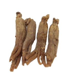 Ginseng Powder for Food Manufacturer - Capsule