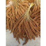 Hulled Millet Bird Food Manufacturer - Bulk OEM/ODM