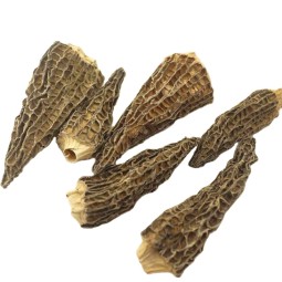 Cinnamon Root Piece Factory - Seasoning Whole