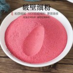 Dried Kiwifruit Manufacturer - Bulk Packaging