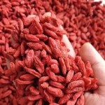 Healthy Herbal Tea Manufacturer - Private Label