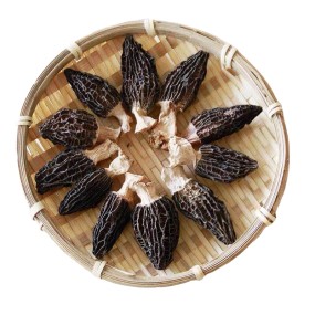 Dried Morel Mushroom Factory - Price Competitive