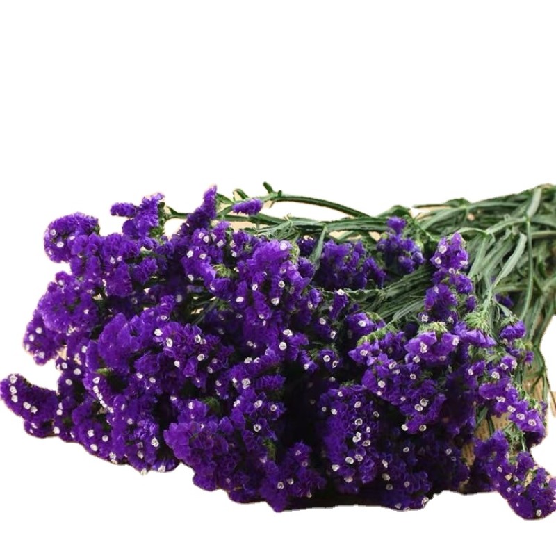 Dendrobium Powder Manufacturer - Granule Strip