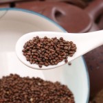 Pumpkin Powder Extract Factory - Halal Certified