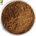 Bamboo Powder Extract Supplier - OEM Custom Formula