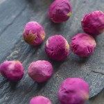 Pine Nuts Supplier - Shelled Kernel Custom