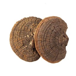 White Sugar Ginseng Factory - Slice Packaging