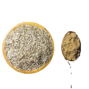 Romaine Lettuce Seeds Factory - Vegetarian Bird Food