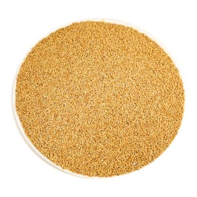 Hulled Millet Bird Food Manufacturer - Bulk OEM/ODM