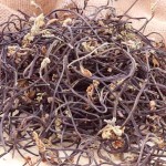 Hybrid Lettuce Seeds Supplier - Vegetable Bird Food