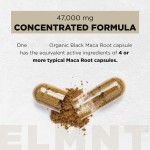 TK Amazon Hot Sale Ashwagandha Maca Root Capsules Support OEM for Adults