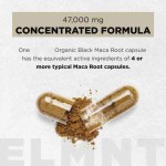 TK Amazon Hot Sale Ashwagandha Maca Root Herbal Supplements Capsules OEM for Adults Support Pills Injections Not Pregnant Women