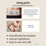 Kidney Detox Patch Factory - Plant Based Vitality Custom