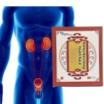 Libido Patch Factory - TCM Kidney Nourishing Custom