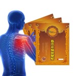 Transdermal Pain Patch Factory - Custom Knee Pain Relief