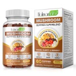 Lions Mane Gummies Factory - Nootropic Energy