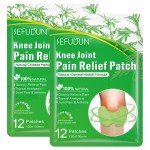 Pain Relief Patch Manufacturer - Wormwood Herbal