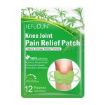 Pain Relief Patch Manufacturer - Wormwood Herbal