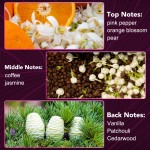 Dog Calming Supplement Manufacturer - Natural