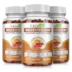 Lions Mane Gummies Factory - Nootropic Energy