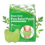 Pain Relief Patch Manufacturer - Wormwood Herbal