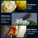 Pet Nutrition Supplement Supplier - Hip Joint