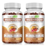 Lions Mane Gummies Factory - Nootropic Energy