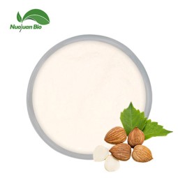 Elderberry Powder Supplier - Spray Dried Fruit Juice